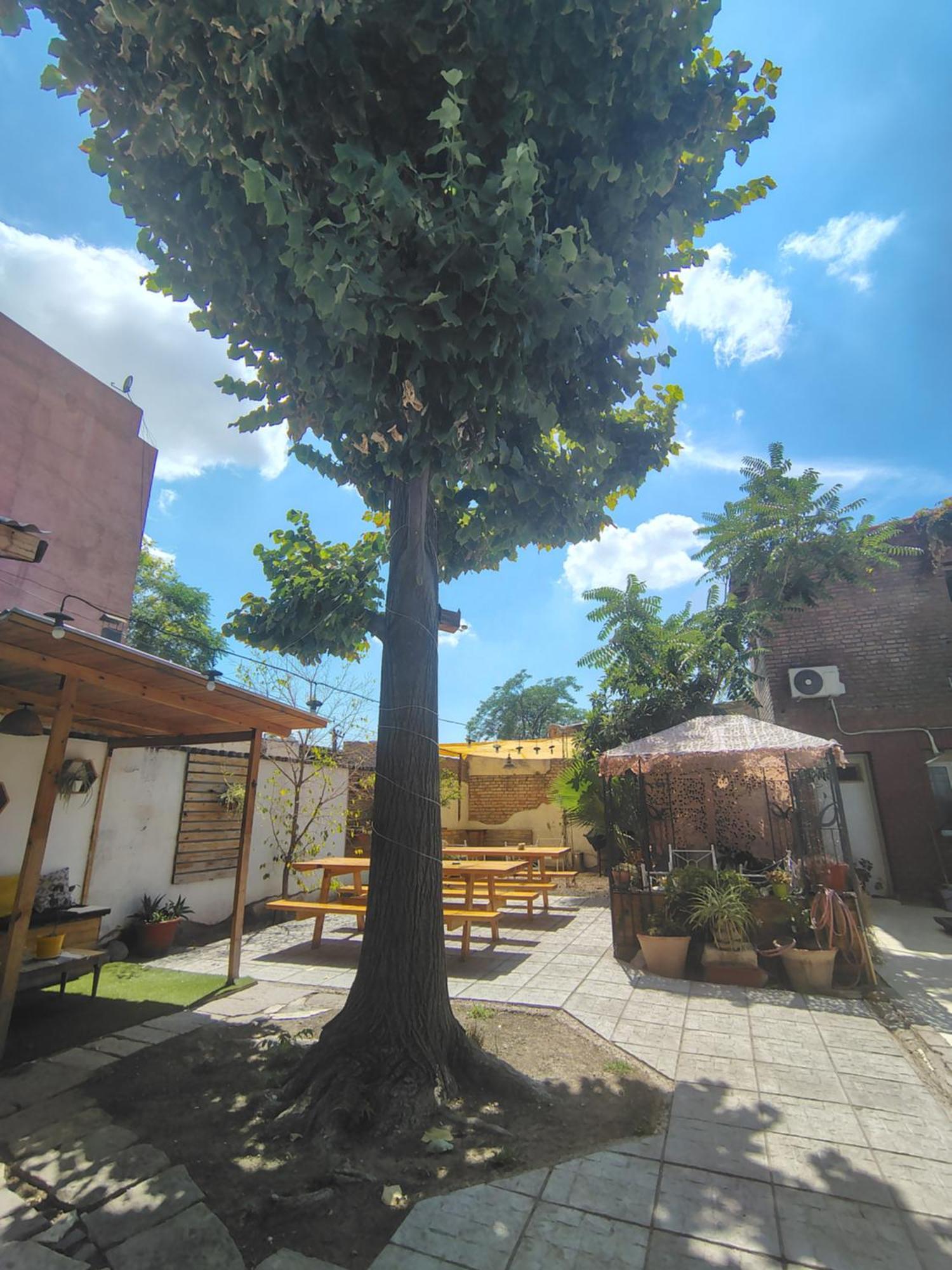 Mora Hostel メンドーサ エクステリア 写真